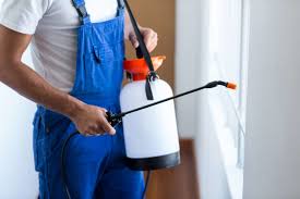 Best Pest Prevention Services  in Mountain Village, CO